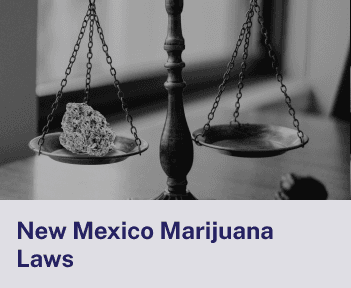 New Mexico Marijuana Laws