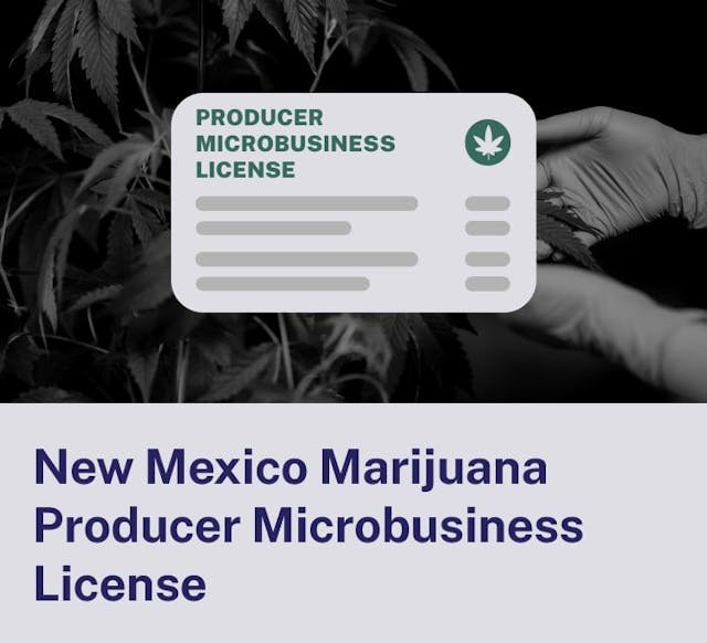 New Mexico Marijuana Microbusiness License