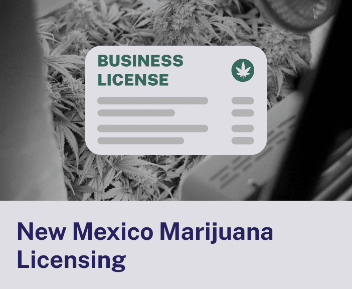 New Mexico Marijuana Licensing