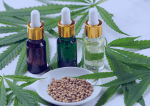 New Mexico Active Medical Marijuana Patients in 2025.png